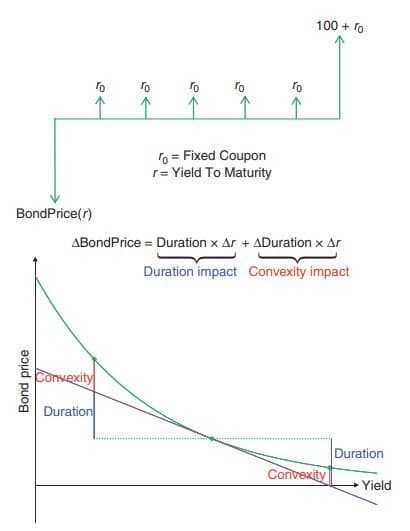 Convex